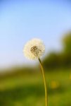 20160915_111554.jpg