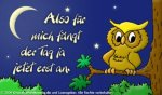Nachteule.jpg