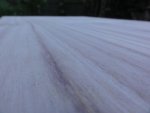 DSC01633.jpg