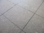 IMG_3377.jpg