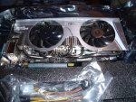 DSCF0820.jpg