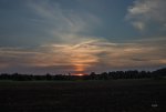 FlyPic (48).jpg