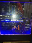 IMG_20161006_043639.jpg