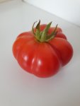 20161006_160956.jpg