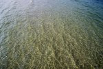 FlyPic (86).jpg