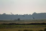 FlyPic (164).jpg