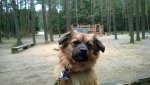 WP_20160320_009.jpg