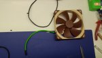 Nocti gesleeved.jpg