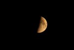 IMG_0333.JPG