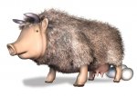 eierlegende_Wollmilchsau.jpg
