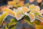 Herbst (1 von 1)-5_sm.jpg