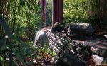 k-dsc04167-bearbeitet.jpg
