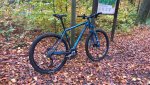 WP_20161106_11_09_11_Rich.jpg