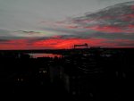 SAM_0730.jpg