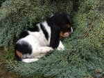 IMG-20161128-WA0006.jpg