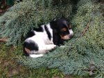 IMG-20161128-WA0005.jpg