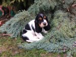 IMG-20161128-WA0004.jpg