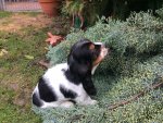 IMG-20161128-WA0003.jpg