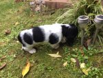 IMG-20161128-WA0002.jpg