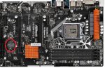 Bios Bat.jpg