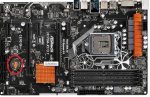 Bios Bat.jpg