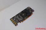 IMGP5808.JPG