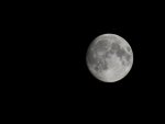 DSCF9681.JPG