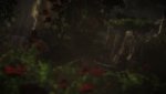 witcher2 2011-05-19 19-51-24-47.jpg
