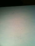image-3647142704.png