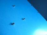 FBook001_3.jpg