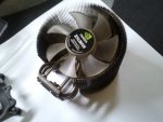 2011-05-26 14.58.43.jpg