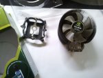 2011-05-26 14.58.15.jpg