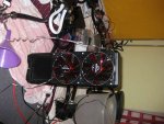 k-IMG_2231.JPG