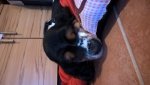 WP_20161218_16_00_24_Pro.jpg