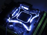 intel-white.jpg