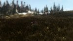 comp_SkyrimSE_2016_12_24_00_52_35_923_.jpg