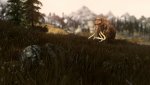 comp_SkyrimSE_2016_12_24_00_57_29_177.jpg