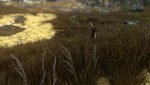 comp_SkyrimSE_2016_12_24_00_58_44_805_.jpg