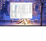 AIDA64_write.jpg