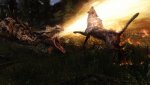 SkyrimSE_2016_12_30_21_47_20_395.jpg