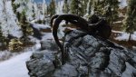 SkyrimSE_2016_12_30_20_47_46_009.jpg