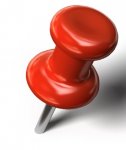 Pin.jpg