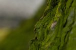 IMG_8965.jpg