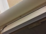 IMG_2980.jpeg
