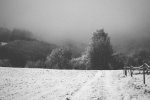 comp_IMG_4514.jpg