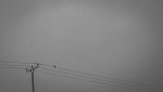 comp_IMG_4512.jpg