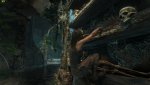 ROTTR 2017-01-15 10-15-29-50.jpg