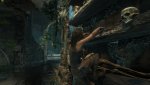 ROTTR 2017-01-15 11-36-59-80.jpg