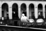 Hamburg_classics_007 (Copy).jpg