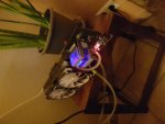 20170119_211219.jpg